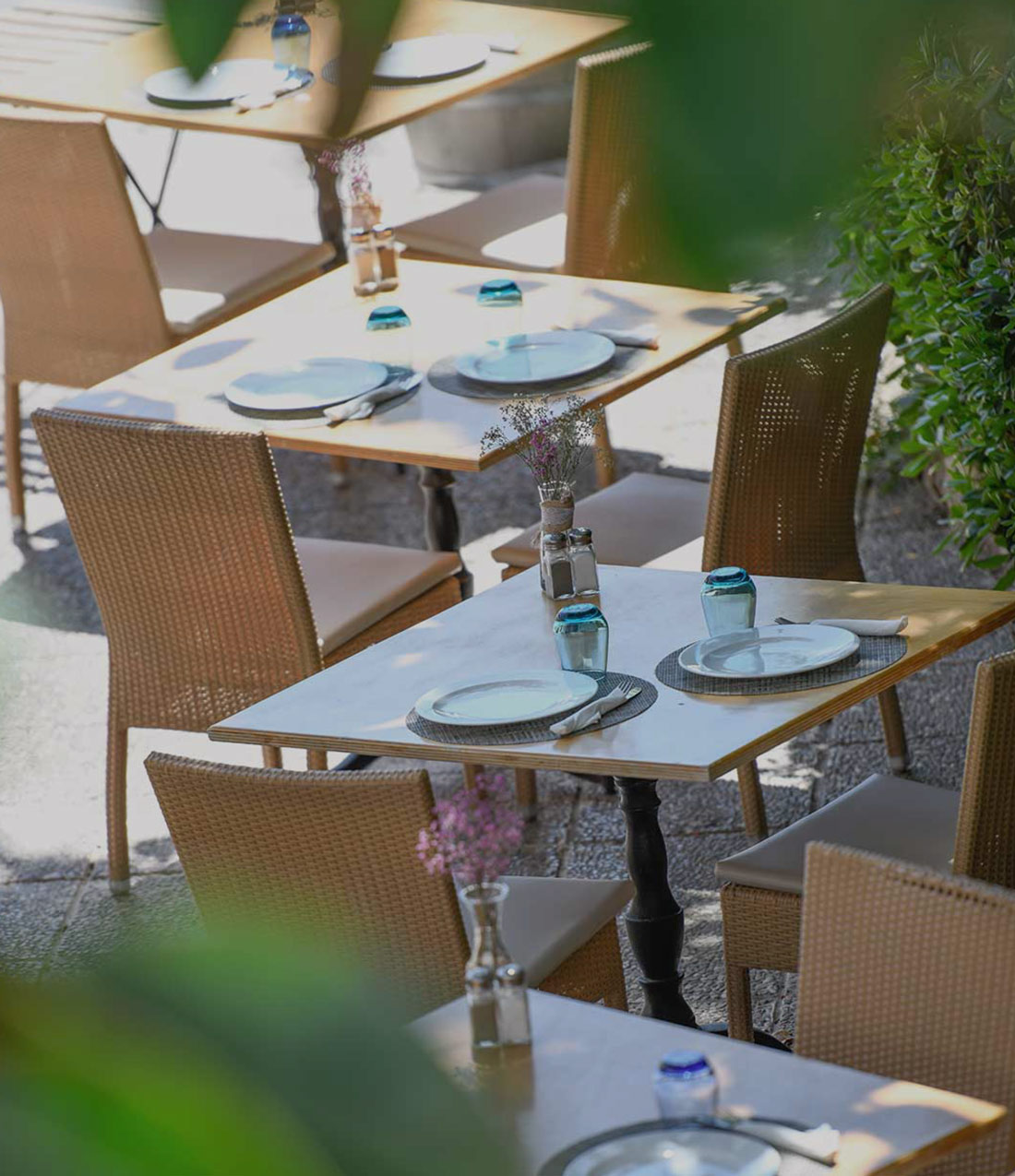 terraza steak house restaurante