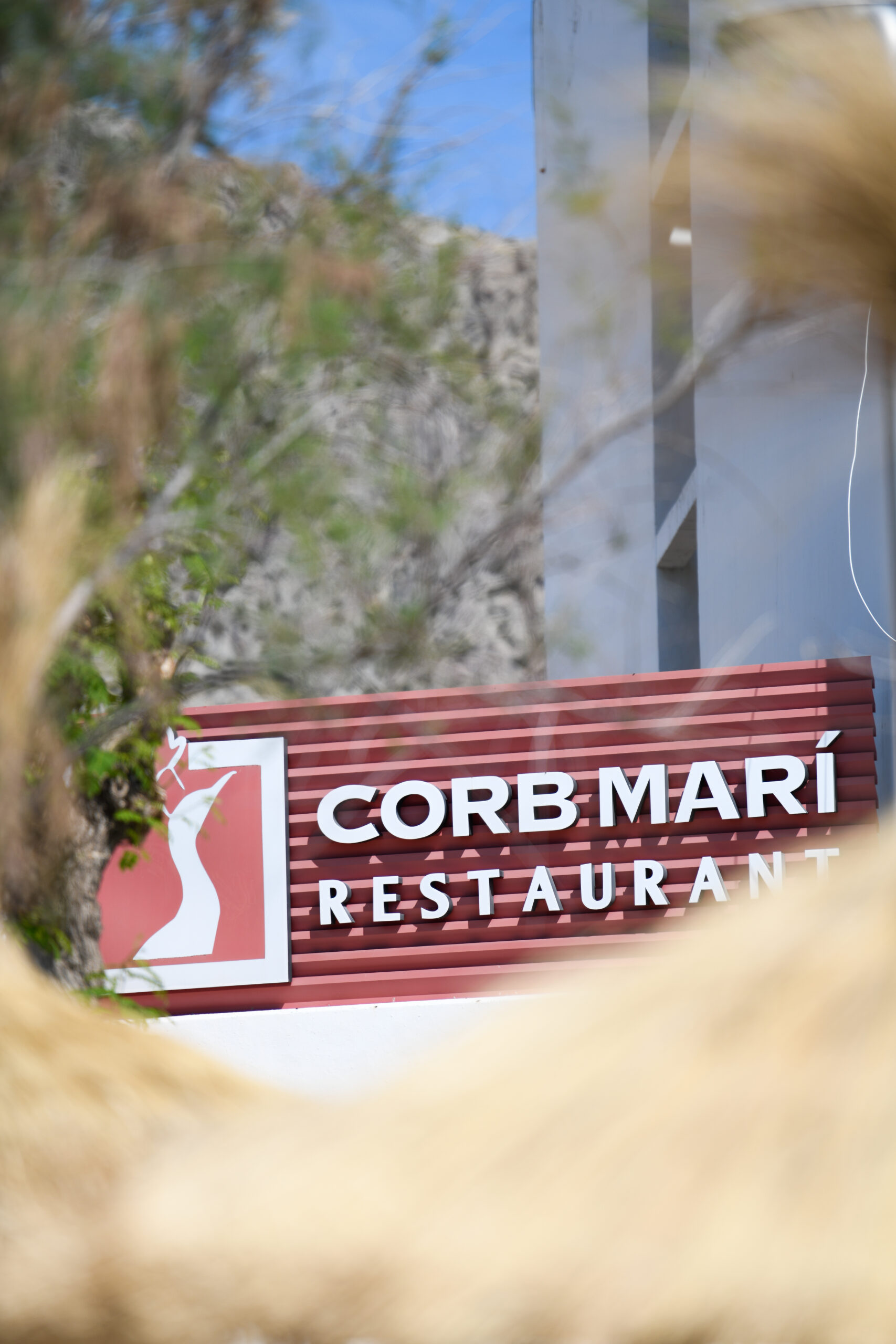 top restaurants in puerto Pollensa